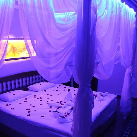 Amazon Antique Vendégház