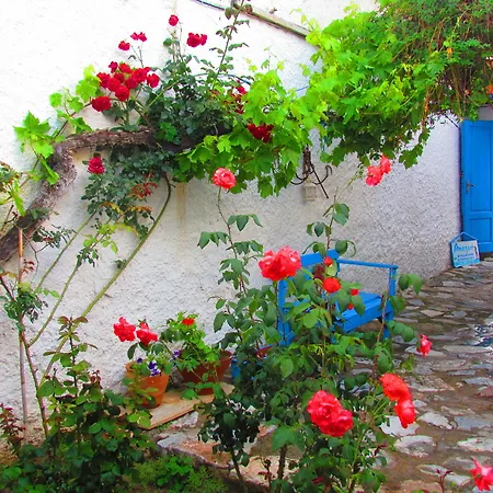 Vendégház Amazon Antique