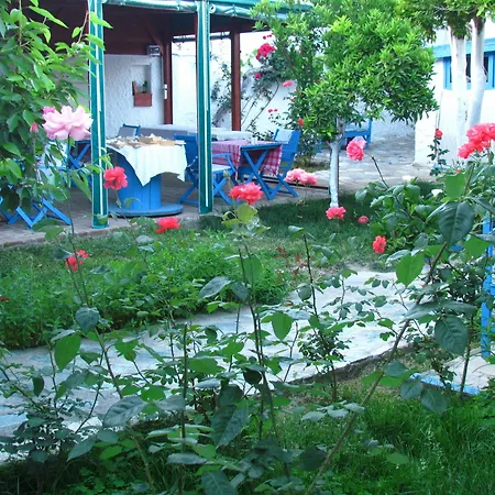 Amazon Antique Selçuk