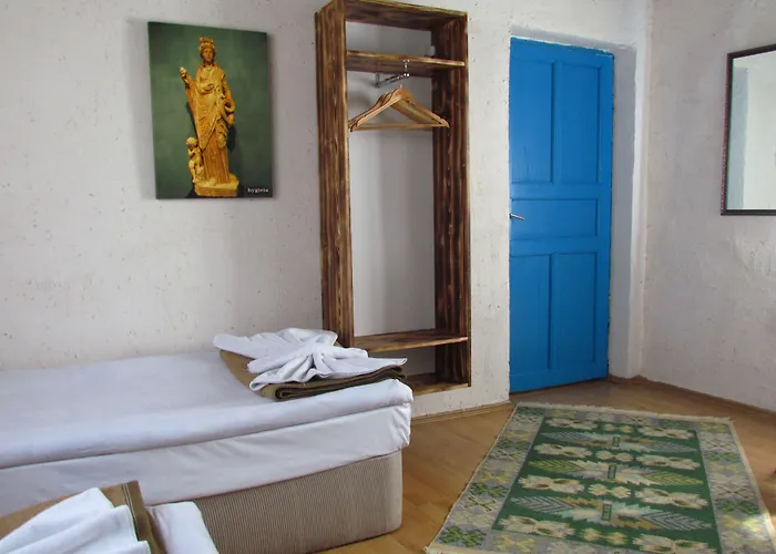 Amazon Antique Gæstehus