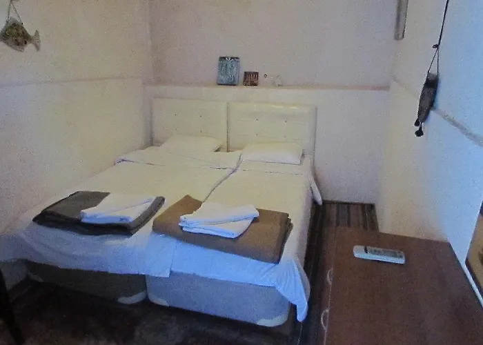 Amazon Antique Maison d'hôtes