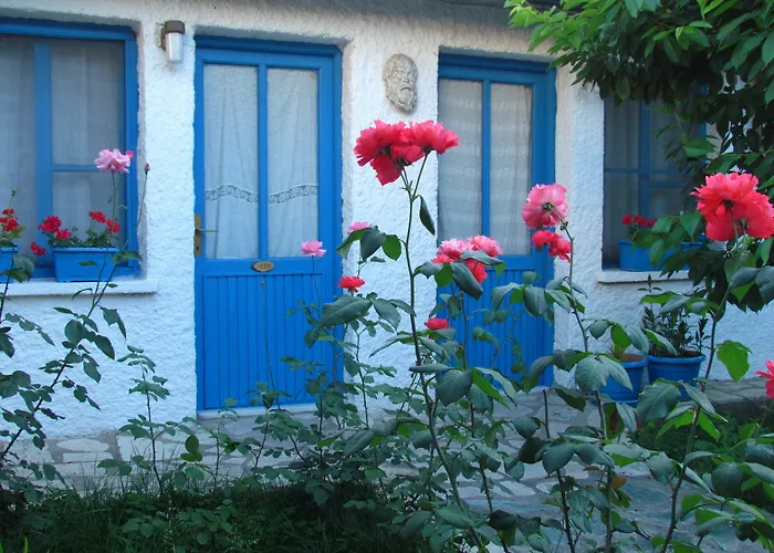 Amazon Antique Selçuk