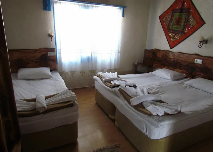 Maison d'hôtes Amazon Antique