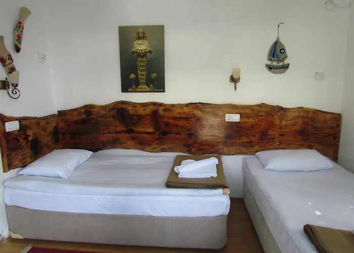 Gæstehus Amazon Antique 4*