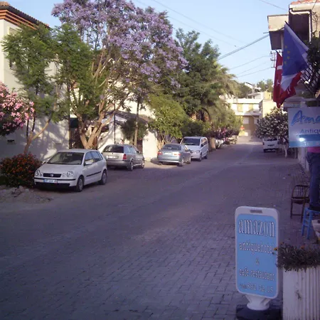 Affittacamere Amazon Antique