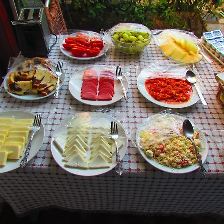 בית הארחה Amazon Antique