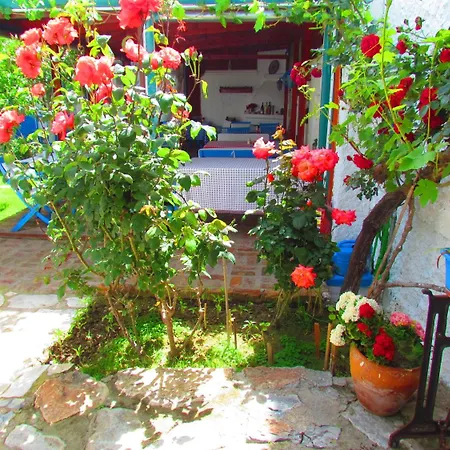 Affittacamere Amazon Antique