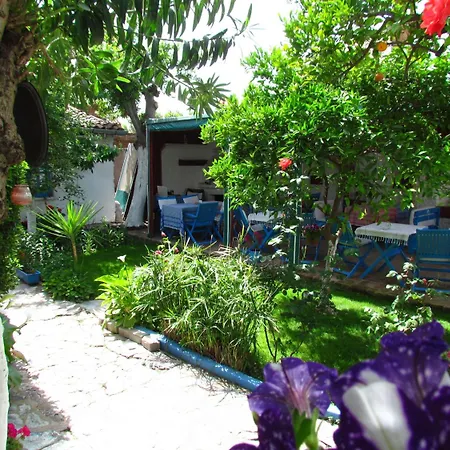 בית הארחה Amazon Antique סלצ'וק