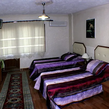 Amazon Antique בית הארחה 4*