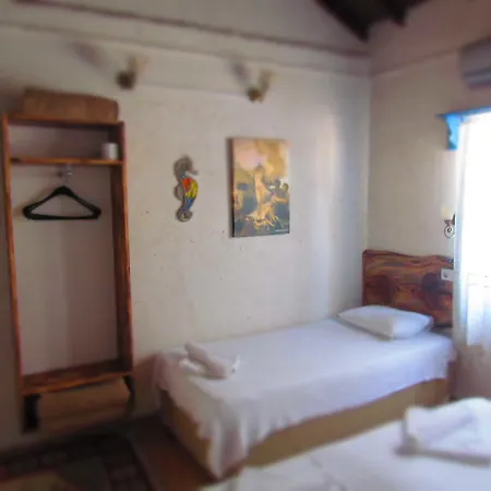 Amazon Antique Selçuk