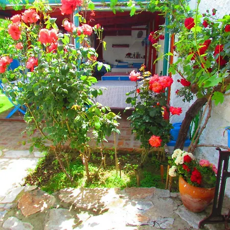 Amazon Antique Guest house 3*