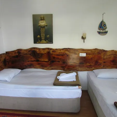 Pensjonat Amazon Antique 3*