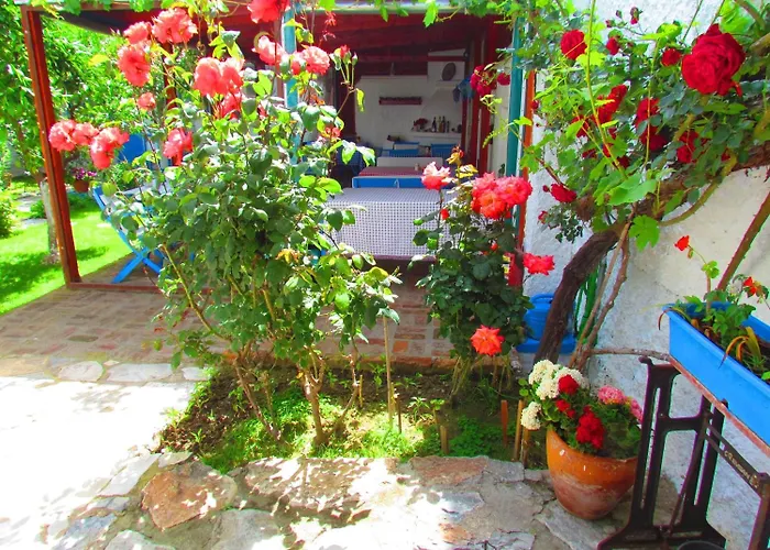 Πανσιόν Amazon Antique