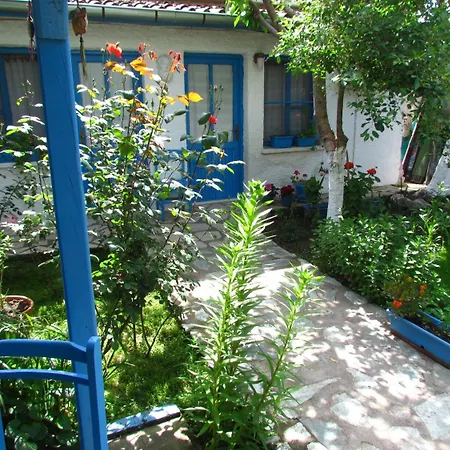 Amazon Antique Selcuk