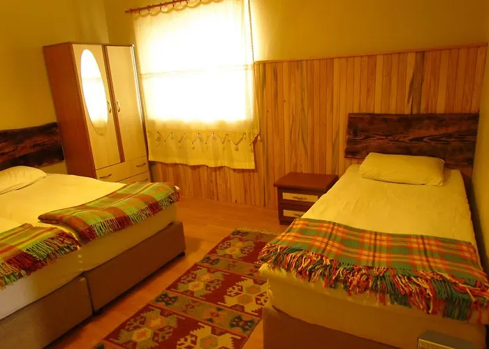 Amazon Antique Penzion