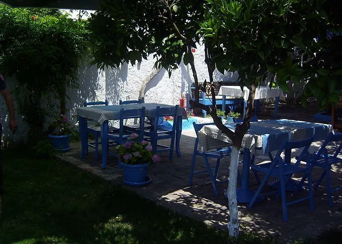 Amazon Antique Penzion