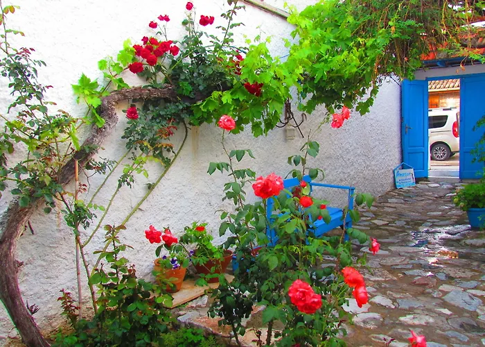 Penzion Amazon Antique